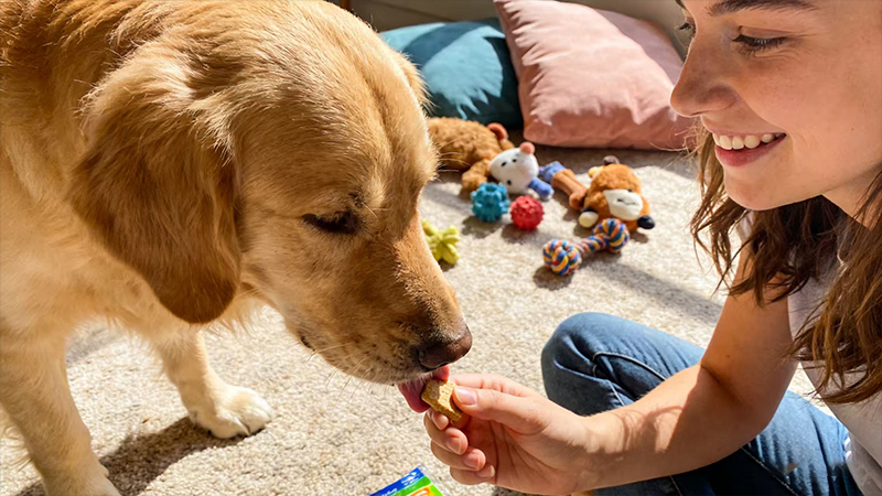 Raw Material Innovation, Drug Delivery, Complex Formulations, and Cutting-Edge Research in Innovative Applications